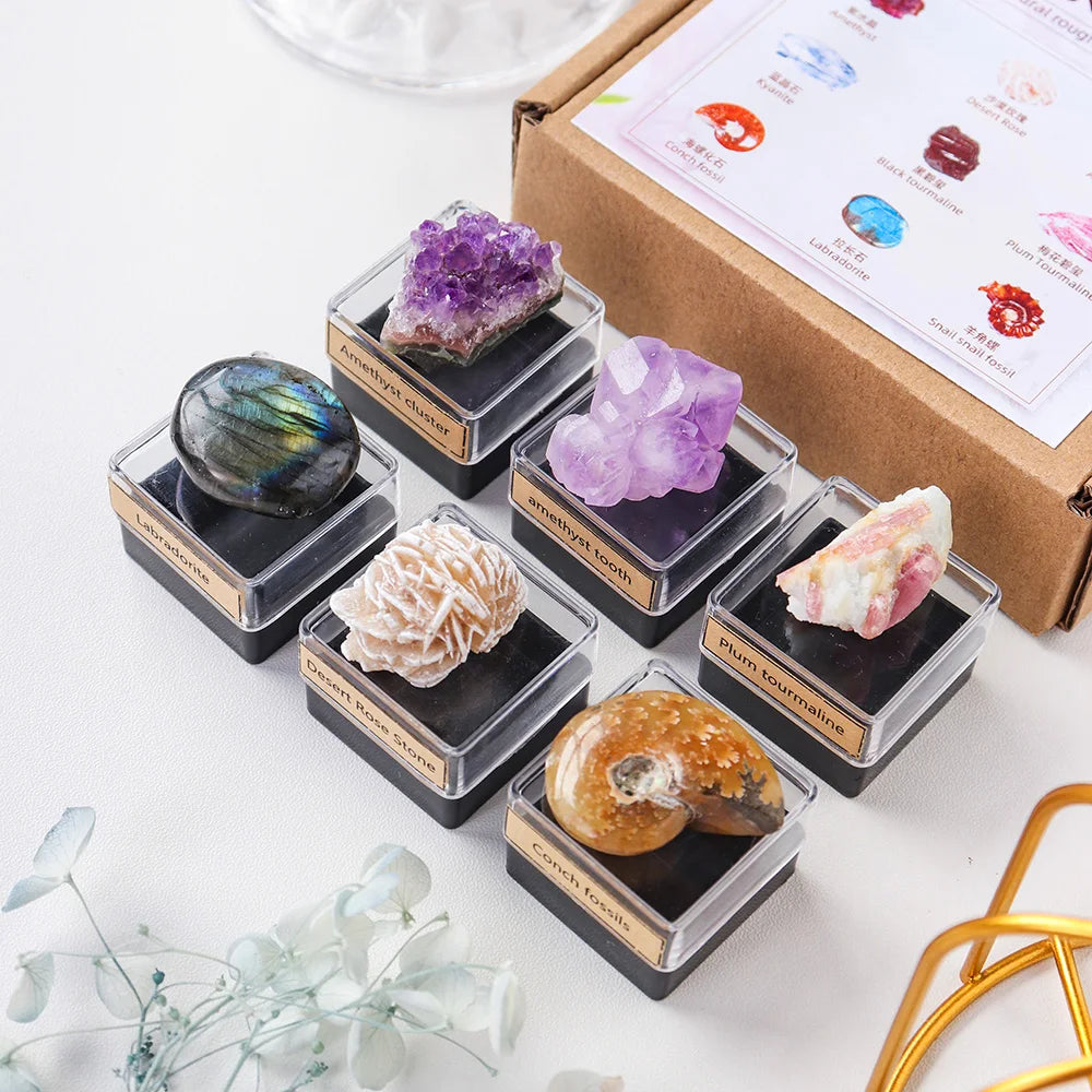 9PCS/SET Natural Crystal Rough Quartz Amethyst cluster Health energy stone mineral specimen collection gift box