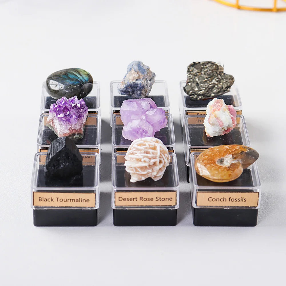 9PCS/SET Natural Crystal Rough Quartz Amethyst cluster Health energy stone mineral specimen collection gift box