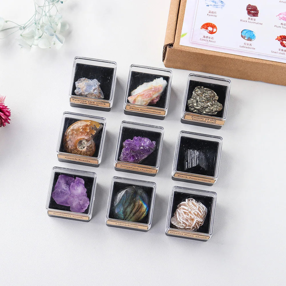 9PCS/SET Natural Crystal Rough Quartz Amethyst cluster Health energy stone mineral specimen collection gift box