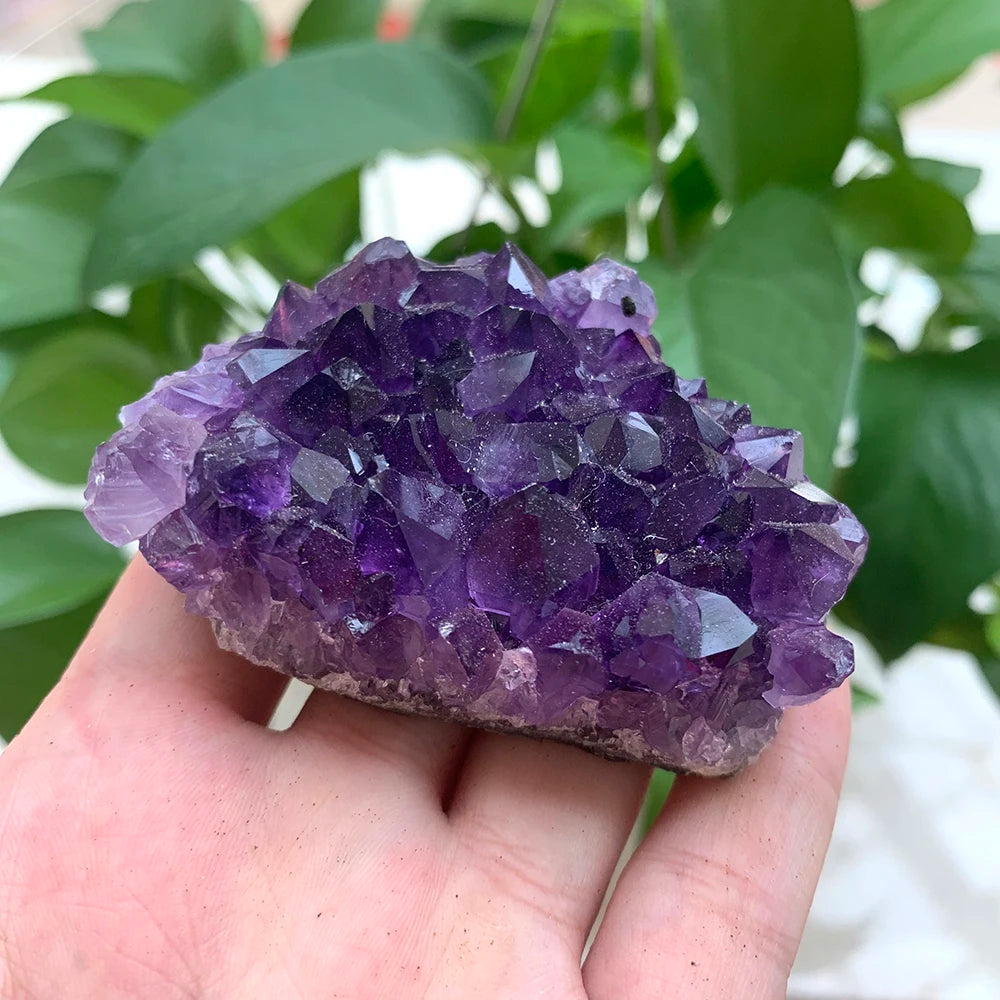 100-120g  High quality Natural stone deep Amethyst Quartz Crystal Cluster Specimen Healing