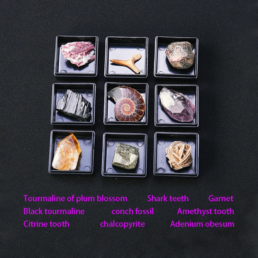 9pcs/set Natural Quartz Raw Stone Energy Collection Box Crystal Specimen Geography Teaching Decoration Gift