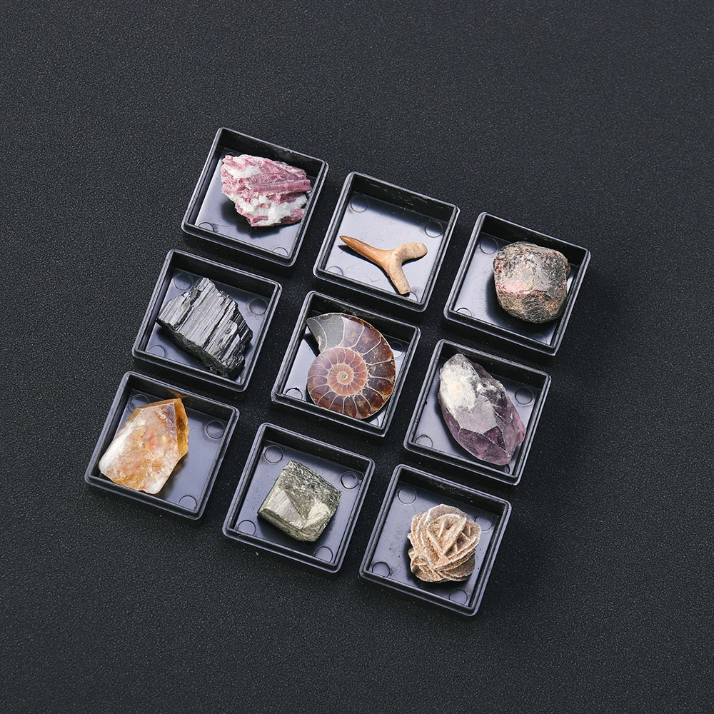 9pcs/set Natural Quartz Raw Stone Energy Collection Box Crystal Specimen Geography Teaching Decoration Gift