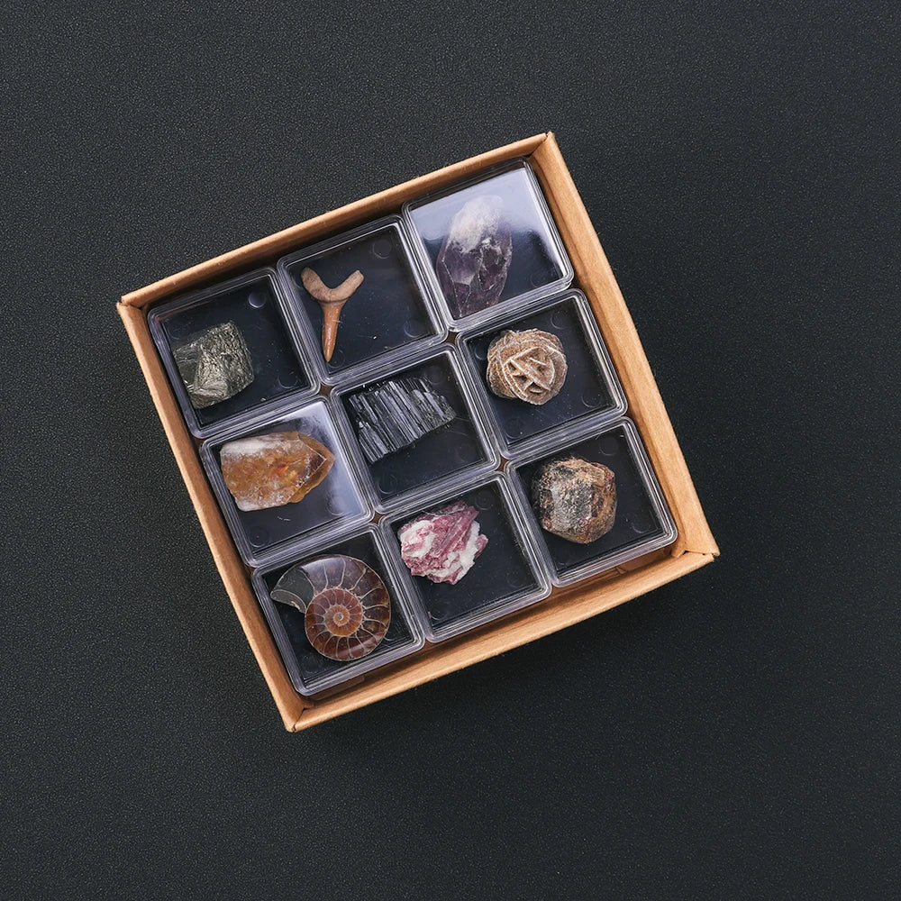 9pcs/set Natural Quartz Raw Stone Energy Collection Box Crystal Specimen Geography Teaching Decoration Gift